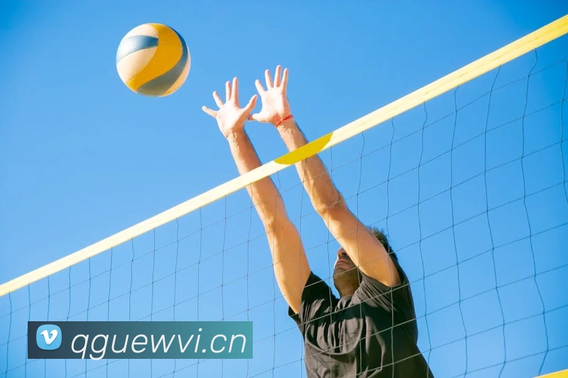 爱游戏网页版官方入口欢迎您APP 封面图